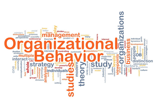 What is organizational behavior2